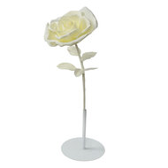 Clayre & Eef | Decoratie roos Wit ø 23x80 cm | 50781