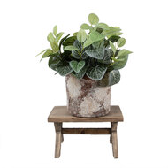 Clayre &amp; Eef | Plantentafeltje Bruin 24x13x14 cm | 6H2315