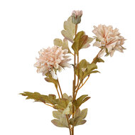 Clayre &amp; Eef | Decoratie tak met bloemen Beige 9x9x68 cm | 6PL0328W