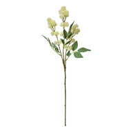 Clayre & Eef | Decoratie tak met bloemen Beige Groen 16x7x68 cm | 5PL0123BE