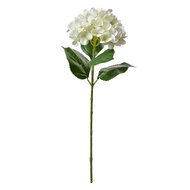 Clayre &amp; Eef | Kunstbloem Beige Groen 16x15x68 cm | 5PL0137BE