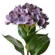 Clayre &amp; Eef | Kunstbloem Paars Groen 16x15x68 cm | 5PL0137LPA