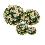 Clayre & Eef | Decoratie bol kunstbloem Margriet Wit Groen ø 30 cm | 6PL0324L