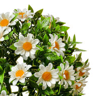 Clayre & Eef | Decoratie bol kunstbloem Margriet Wit Groen ø 10 cm | 6PL0324S