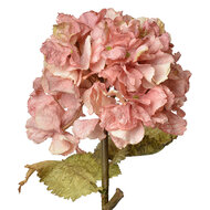 Clayre &amp; Eef | Decoratie tak met bloemen Roze 10x10x55 cm | 6PL0333P
