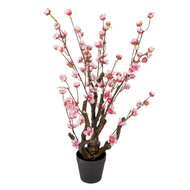 Clayre & Eef | Decoratie boom Bruin Roze 18x18x70 cm | 6PL0372