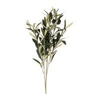 Clayre & Eef | Decoratie tak met olijven Groen 10x10x55 cm | 6PL0371