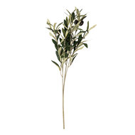 Clayre & Eef | Decoratie tak met olijven Groen 10x10x55 cm | 6PL0371