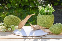 Dekoratief | Slak m/bloemenreli?f, naturel/groen, resina, 24x11x11cm | A250443