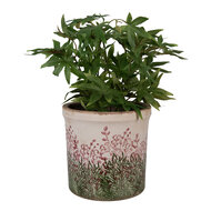 Clayre &amp; Eef | Bloempot Binnen Beige Groen &oslash; 18x17 cm | 6CE2017L