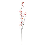 Clayre & Eef | Decoratie Tak Rood Bruin 18x5x116 cm | 5PL0181R