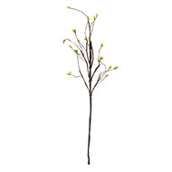 Clayre & Eef | Decoratie Tak Bruin Groen 28x8x130 cm | 5PL0185