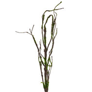 Clayre & Eef | Decoratie Tak Bruin Groen 28x5x130 cm | 5PL0186