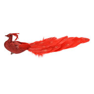 Clayre & Eef | Kerstdecoratie Vogel Rood 30x9x9 cm | 66136