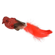 Clayre & Eef | Decoratie Vogel (Set van 2) Rood Bruin 16x5x5 cm | 66138