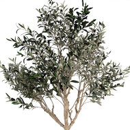 Clayre & Eef | Decoratie Olijfboom Groen Beige 120x80x240 cm | 5PL0139