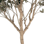 Clayre & Eef | Decoratie Olijfboom Groen Beige 120x80x240 cm | 5PL0139