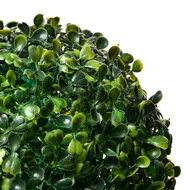 Clayre &amp; Eef | Decoratie kunststof bol Buxus Groen &oslash; 20 cm | 6PL0325M