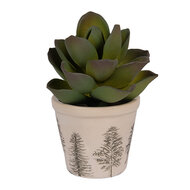 Clayre &amp; Eef | Bloempot Binnen Beige Groen &oslash; 8x7 cm | 6CENPT0001XS