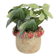 Clayre &amp; Eef | Bloempot Binnen Beige Rood &oslash; 15x11 cm | 6TE0588M