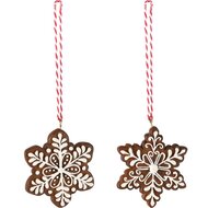 Dekoratief | Hanger sneeuwvlokje, bruin/wit, resina, 6x6x1cm, set van 2 stuks | A255735