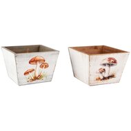 Dekoratief | Bakje m/paddenstoelen, naturel/wit, hout, 15x15x11cm, set van 2 stuks | A255956