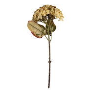 Clayre &amp; Eef | Decoratie tak met bloemen Beige Groen 15x15x47 cm | 6PL0404BE