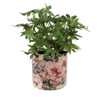 Clayre & Eef | Bloempot Zwart Roze ø 16x15 cm | 65894
