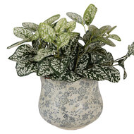 Clayre &amp; Eef | Bloempot Binnen Groen Grijs &oslash; 18x15 cm | 6CE2240M