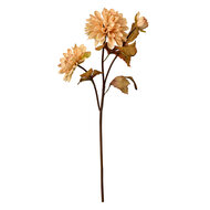 Clayre &amp; Eef | Kunstbloem Beige Bruin 10x10x66 cm | 6PL0387BE