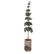 Clayre &amp; Eef | Decoratie Boom Groen Bruin 15x12x80 cm | 50842