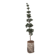 Clayre &amp; Eef | Decoratie Boom Groen Bruin 15x12x80 cm | 50842