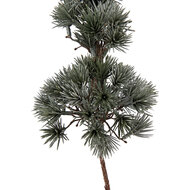 Clayre &amp; Eef | Decoratie Boom Groen Bruin 14x14x45 cm | 66433