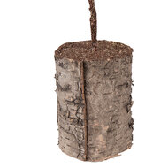 Clayre &amp; Eef | Decoratie Boom Groen Bruin 14x14x45 cm | 66433