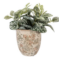 Clayre &amp; Eef | Bloempot Binnen Beige Groen &oslash; 17x17 cm | 6CE2415L