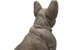 Beeld hond Franse buldog grijs zittend polystone 42x43 cm | 819314 | Countryfield 