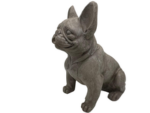 Beeld hond Franse buldog grijs zittend polystone 42x43 cm | 819314 | Countryfield 