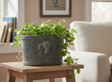 Brynxz Majestic Vintage bloempot met Ram - Ovaal 40x24x25 cm 