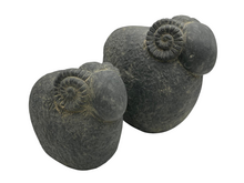 Brynxz Majestueus Vintage Beeld: Ram met Gedraaide Hoorns &ndash; Maat M Rustiek Donker Grijs - 17 x 15 cm