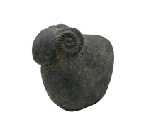 Brynxz Majestueus Vintage Beeld: Ram met Gedraaide Hoorns &ndash; Maat M Rustiek Donker Grijs - 17 x 15 cm