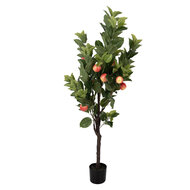 Clayre &amp; Eef | Decoratie Appelboom Groen Rood 30x30x150 cm | 5PL0217