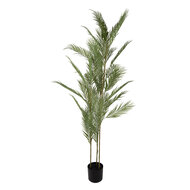 Clayre &amp; Eef | Kunstplant Palm Groen Zwart 25x25x180 cm | 5PL0231