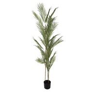 Clayre &amp; Eef | Kunstplant Palm Groen Zwart 25x25x180 cm | 5PL0231