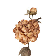 Clayre &amp; Eef | Decoratie tak met bloemen Bruin Groen 14x17x73 cm | 5PL0243BE