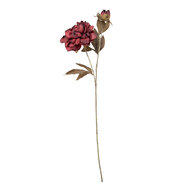 Clayre &amp; Eef | Decoratie tak met bloemen Rood Groen 14x17x73 cm | 5PL0243R