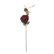 Clayre &amp; Eef | Decoratie tak met bloemen Rood Groen 14x14x78 cm | 5PL0244BU