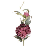 Clayre &amp; Eef | Decoratie tak met bloemen Paars Groen 14x14x78 cm | 5PL0244P