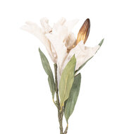 Clayre &amp; Eef | Decoratie tak met bloemen Beige Groen 12x16x88 cm | 5PL0252BE