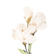 Clayre &amp; Eef | Decoratie tak met bloemen Beige Groen 10x18x85 cm | 5PL0256BE