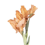 Clayre &amp; Eef | Decoratie tak met bloemen Bruin Groen 10x18x85 cm | 5PL0256Y